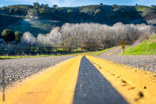 Rolling Hills of Los Olivos