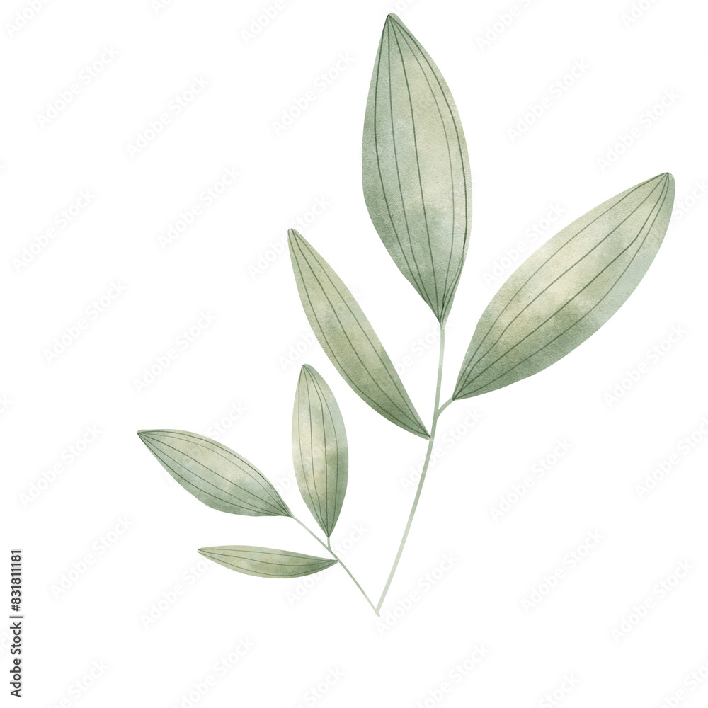 Obraz premium leaves