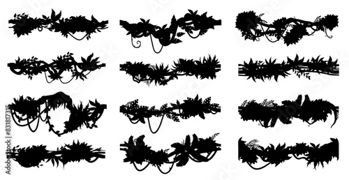 Jungle tropical liana branch vines and ivy plants silhouettes, vector creeper tree. Jungle forest liana branches with leaves, curly and twisted vines with leaves, tropical rainforest hanging foliage