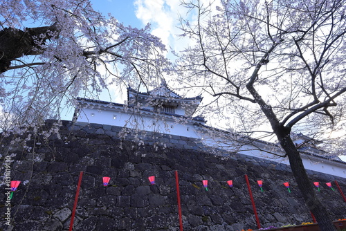 Cherry blossoms at Shiroishi Castle, a Restored 16th-century castle at Masuokacho, Shiroishi, Miyagi, Japan photo