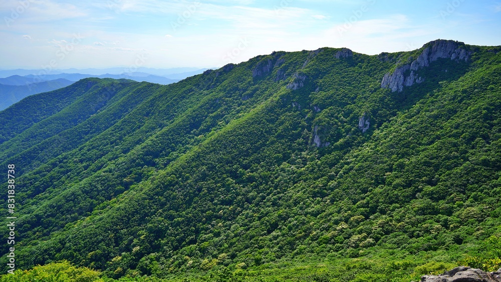 Obraz premium Beautiful summer scenery of Gajisan Mountain in Korea