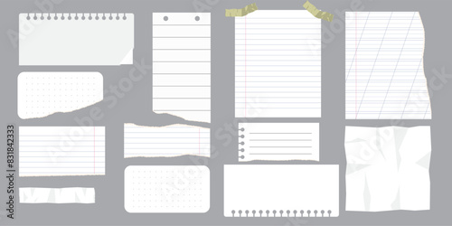 Paper scraps. Torn pieces of paper, with torn edges for notes, realistic torn pieces of blank note pages. Vector illustration isolated