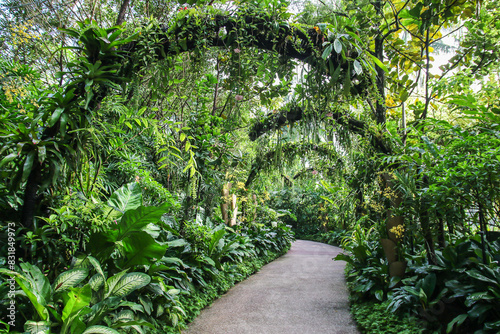 Photography Golden Shower Arches in the National Orchid Garden at Singapore Botanical Garden
