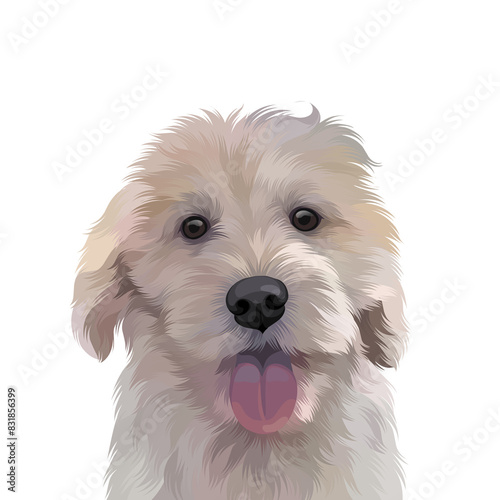 Colorful detailed dog Illustration photo