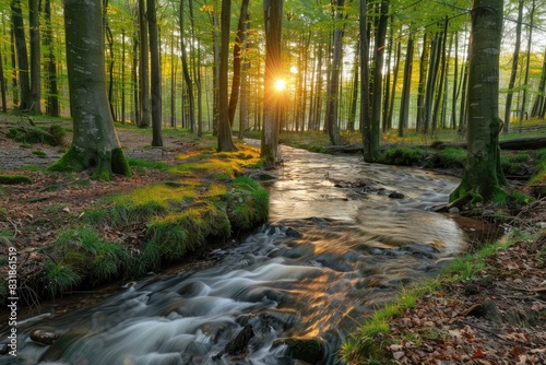 Peaceful river flowing through a forest with a vibrant sunset background