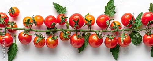 Cherry tomato  isolated on white background  