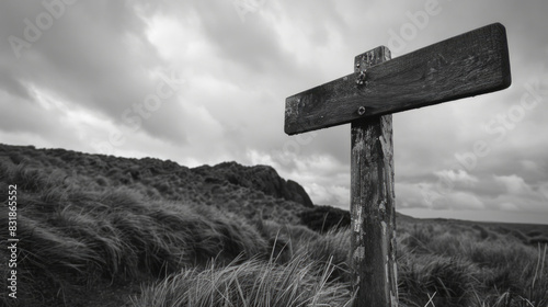 A wooden signpost stands in a field of tall grass. The sky is cloudy and the grass is dry photo