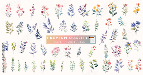 High-quality watercolor wildflowers and leaf grass. Beautiful decoration watercolor floral and leaf elements for design, poster, growth, invitation, wedding and card design. Vector EPS illustrator. 