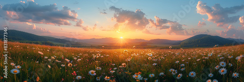 Beautiful spring and summer natural panoramic pastoral landscape with blooming field of daisies in the grass in the hilly countryside photo