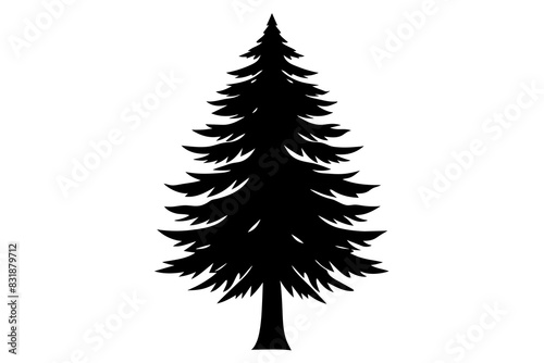 Spruce Tree silhouette vector illustration