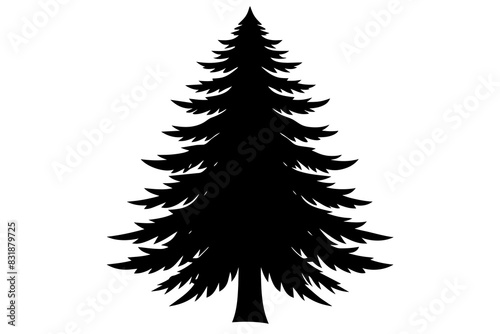 Spruce Tree silhouette vector illustration