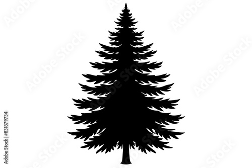 Spruce Tree silhouette vector illustration