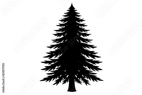 Spruce Tree silhouette vector illustration