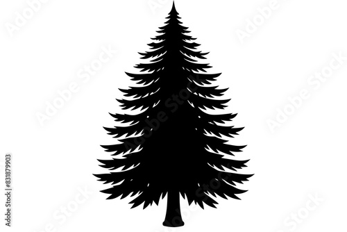 Spruce Tree silhouette vector illustration