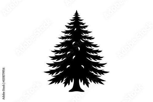 Spruce Tree silhouette vector illustration