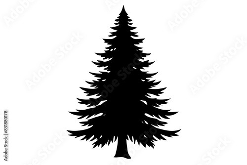 Spruce Tree silhouette vector illustration