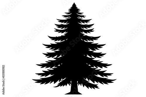 Spruce Tree silhouette vector illustration