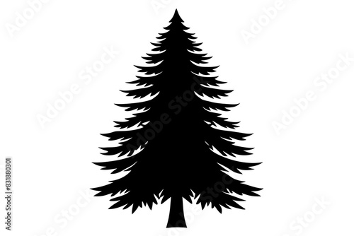 Spruce Tree silhouette vector illustration