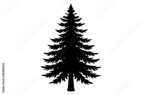 Spruce Tree silhouette vector illustration