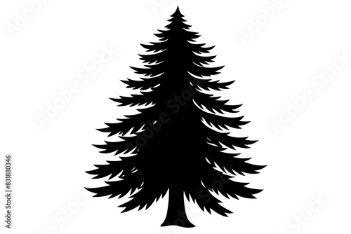 Spruce Tree silhouette vector illustration