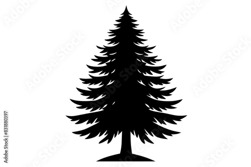 Spruce Tree silhouette vector illustration