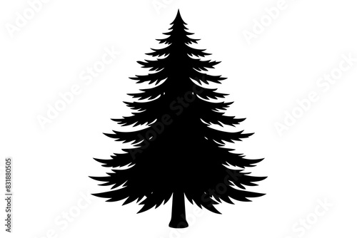 Spruce Tree silhouette vector illustration