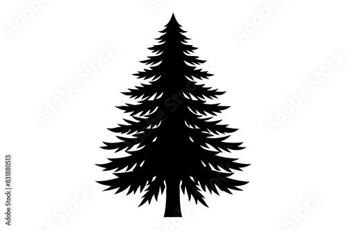 Spruce Tree silhouette vector illustration