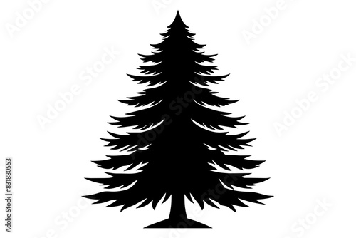 Spruce Tree silhouette vector illustration