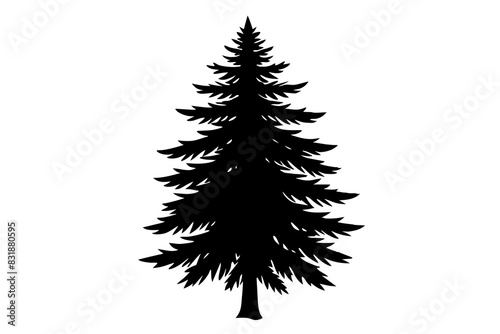 Spruce Tree silhouette vector illustration