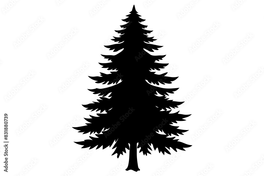 Spruce Tree silhouette vector illustration Spruce Tree silhouette vector illustration