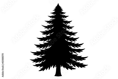 Spruce Tree silhouette vector illustration