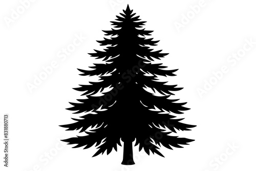 Spruce Tree silhouette vector illustration