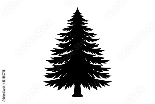Spruce Tree silhouette vector illustration