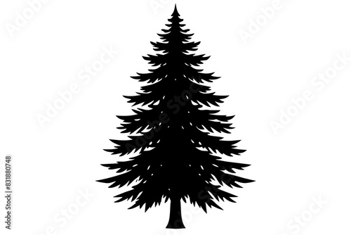 Spruce Tree silhouette vector illustration