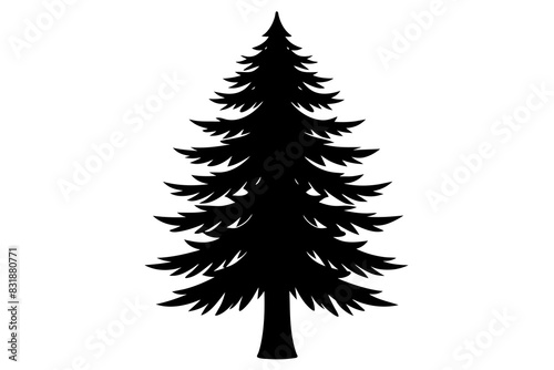 Spruce Tree silhouette vector illustration