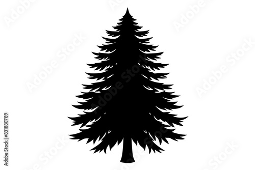 Spruce Tree silhouette vector illustration