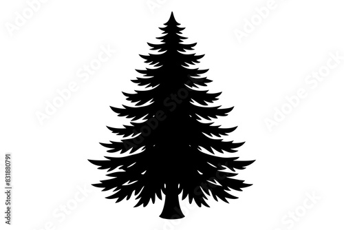 Spruce Tree silhouette vector illustration
