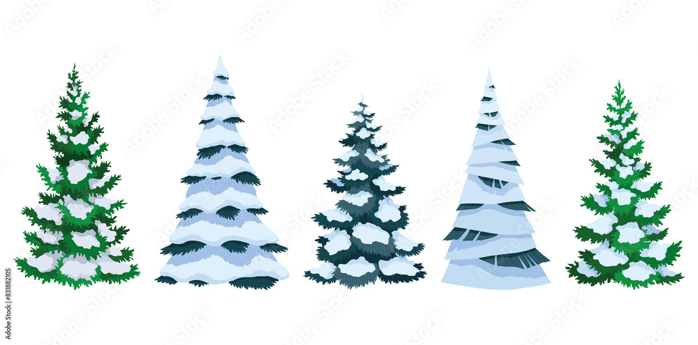 Fir trees with snow collection. Winter snow-covered spruces set. Green fluffy pines isolated on white background
