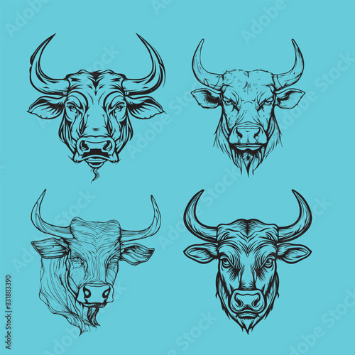 set teste di toro