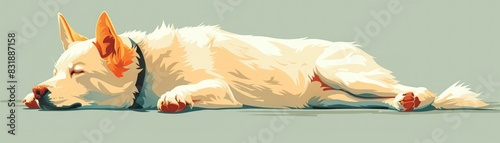 White dog with orange ears sleeping on the ground. photo
