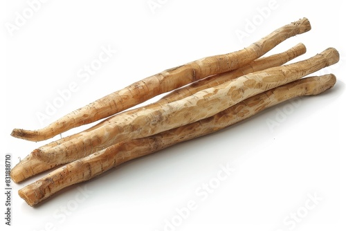 Fresh burdock root vegetable on white background