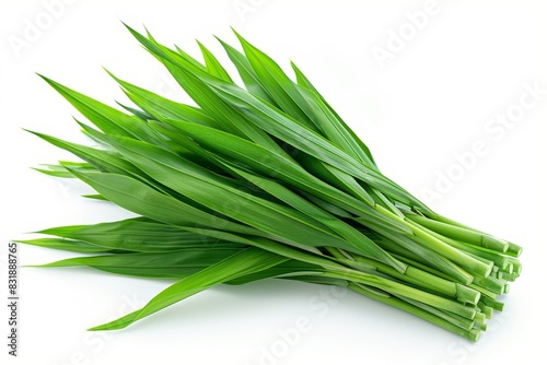 Fresh green pandan leaves isolated on white background. photo