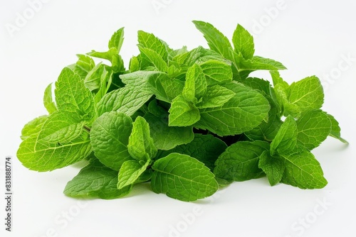 Fresh organic green mint leaves isolated on white background.