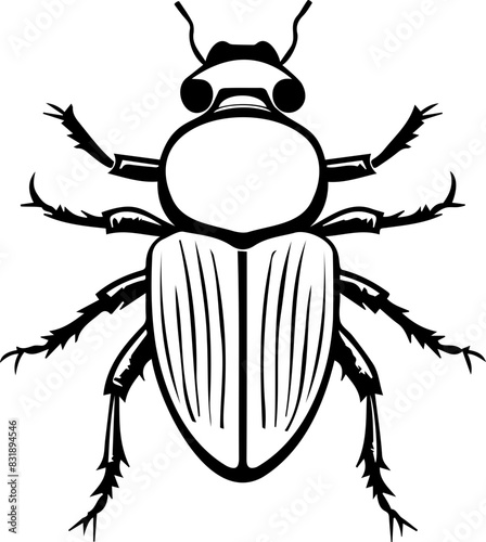 Bug beetle vector transparent background PNG clipart © Chrixxi