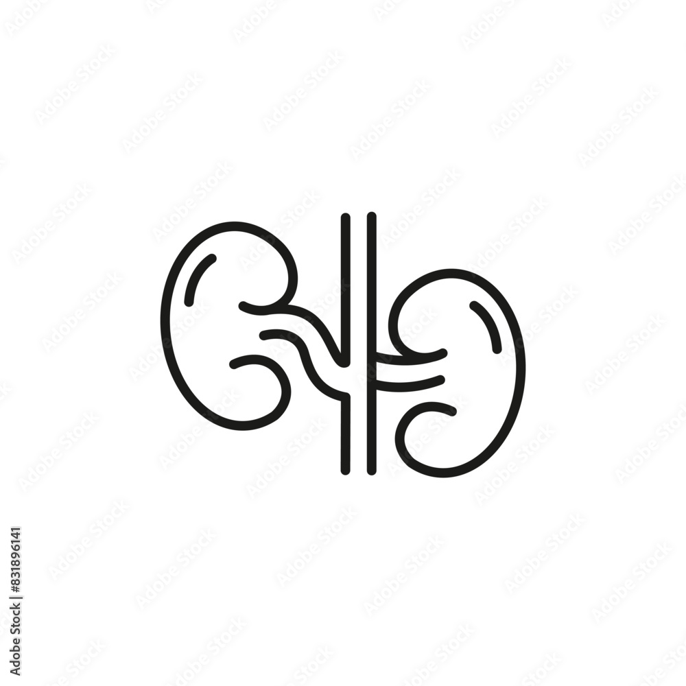 Obraz premium Kidney icon. Simple kidney icon for social media, app, and web design. Vector illustration.