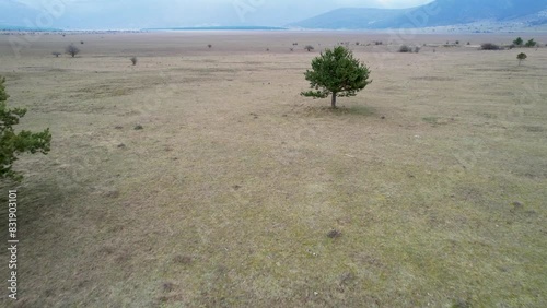 A beautiful landscape drone video of an empty field with a road in Croatia region Lika in Europe (ID: 831903101)
