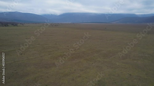 A beautiful landscape drone video of an empty field with a road in Croatia region Lika in Europe (ID: 831906157)