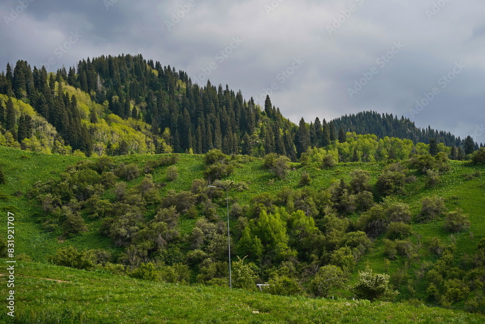 A mountainous area with different trails and vegetation. A mountainous area with different trails and vegetation.