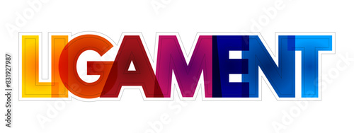 Ligament is a fibrous connective tissue that attaches bone to bone, colourful text concept background