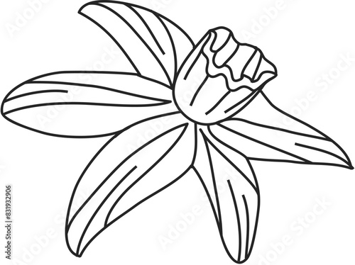 Coloring floral bud